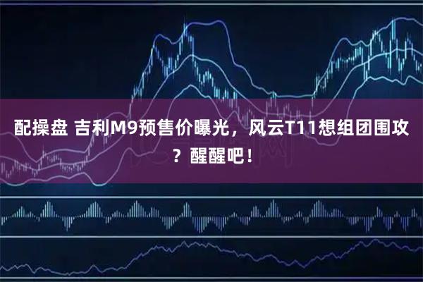 配操盘 吉利M9预售价曝光，风云T11想组团围攻？醒醒吧！