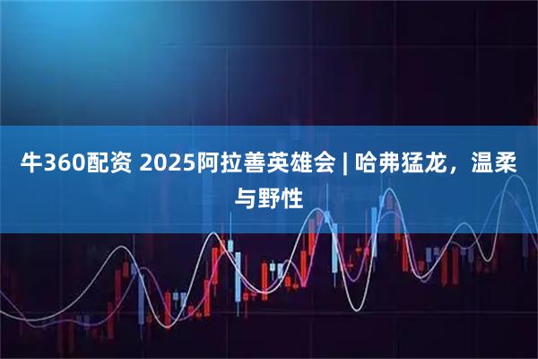 牛360配资 2025阿拉善英雄会 | 哈弗猛龙，温柔与野性