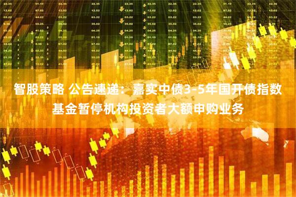 智股策略 公告速递：嘉实中债3-5年国开债指数基金暂停机构投资者大额申购业务