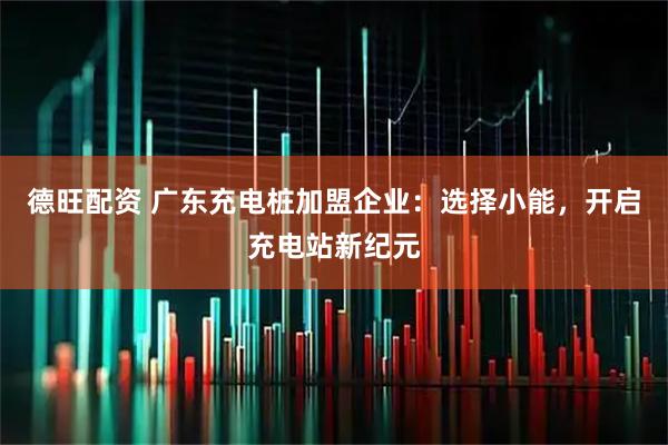 德旺配资 广东充电桩加盟企业：选择小能，开启充电站新纪元