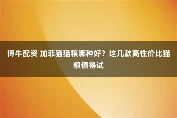 博牛配资 加菲猫猫粮哪种好？这几款高性价比猫粮值得试